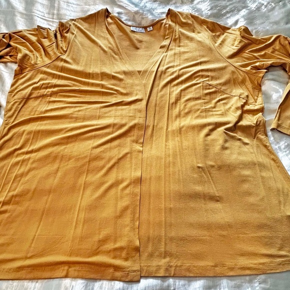 SWEATER SET, 2 PIECE, CARDIGAN & MATCHING SEQUIN TANK SET, GOLD, SIZE 3X, METAL - Picture 10 of 16